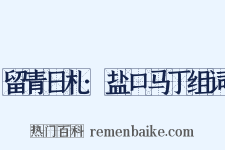留青日札·盐口马丁组词是什么意思的图片